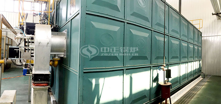 德利1600萬(wàn)大卡有機(jī)熱載體爐項(xiàng)目