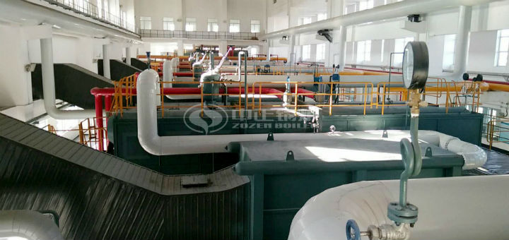 同源制藥20噸冷凝式燃?xì)庹羝仩t項(xiàng)目